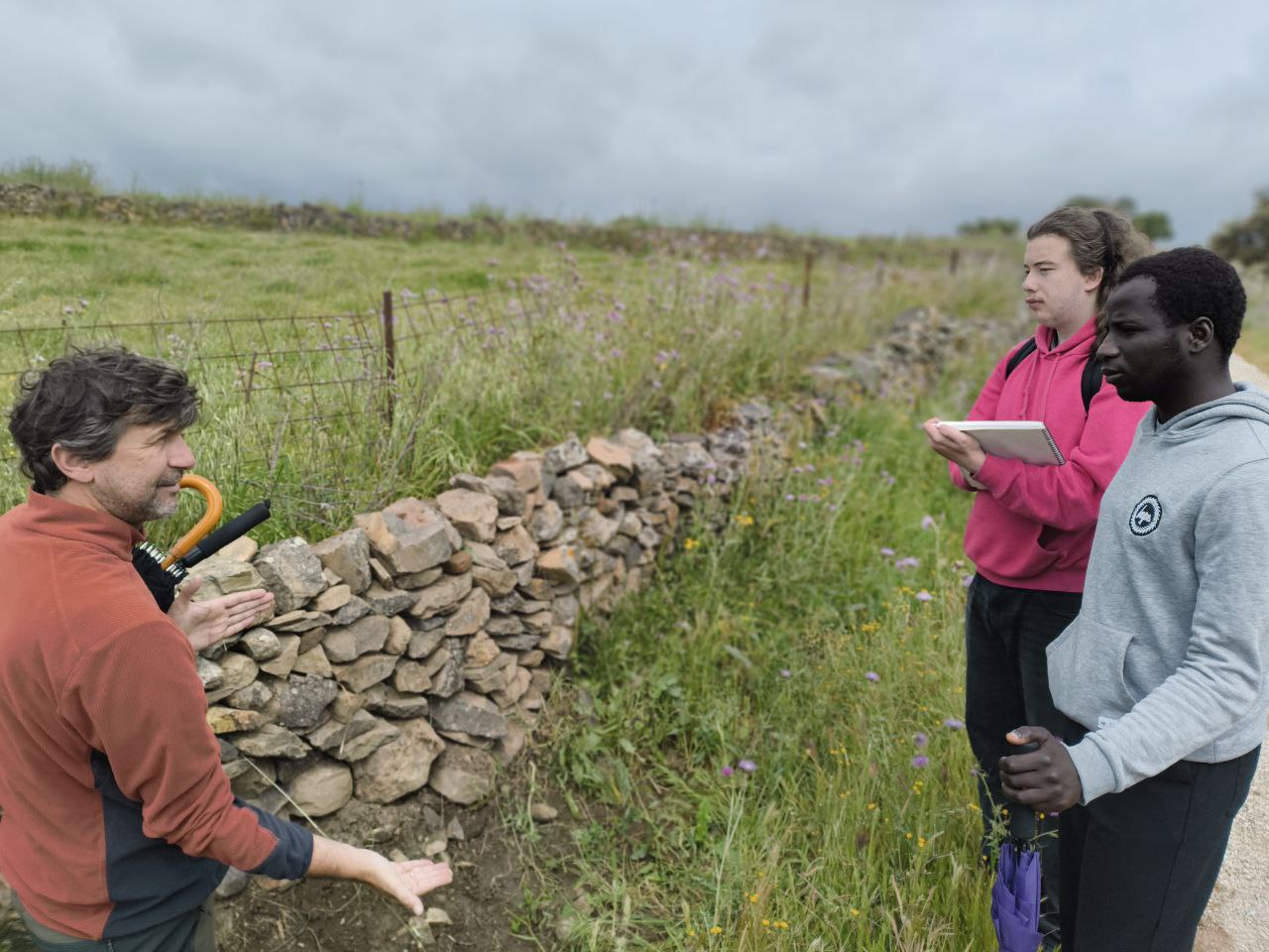 Construcción en piedra seca